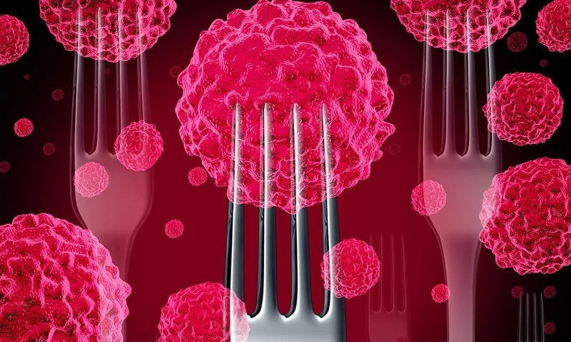 Προσοχή: Οι 5 τροφές που αυξάνουν τον κίνδυνο καρκίνου!